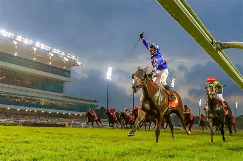 singapore horse racing free tips|Gday punters. .